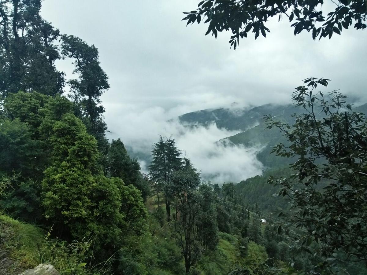 Oyo 11877 Royal Residency Hotel New Tehri Szoba fotó